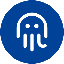 Octopus Network OCT icon symbol