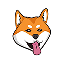 DogeSwap DOG icon symbol