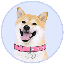 DogeGF DOGEGF icon symbol