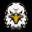 Biểu tượng logo của Eagle Vision
