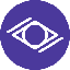 Witnet Symbol Icon