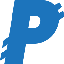 PayNet Coin Symbol Icon