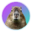 Capybara Symbol Icon