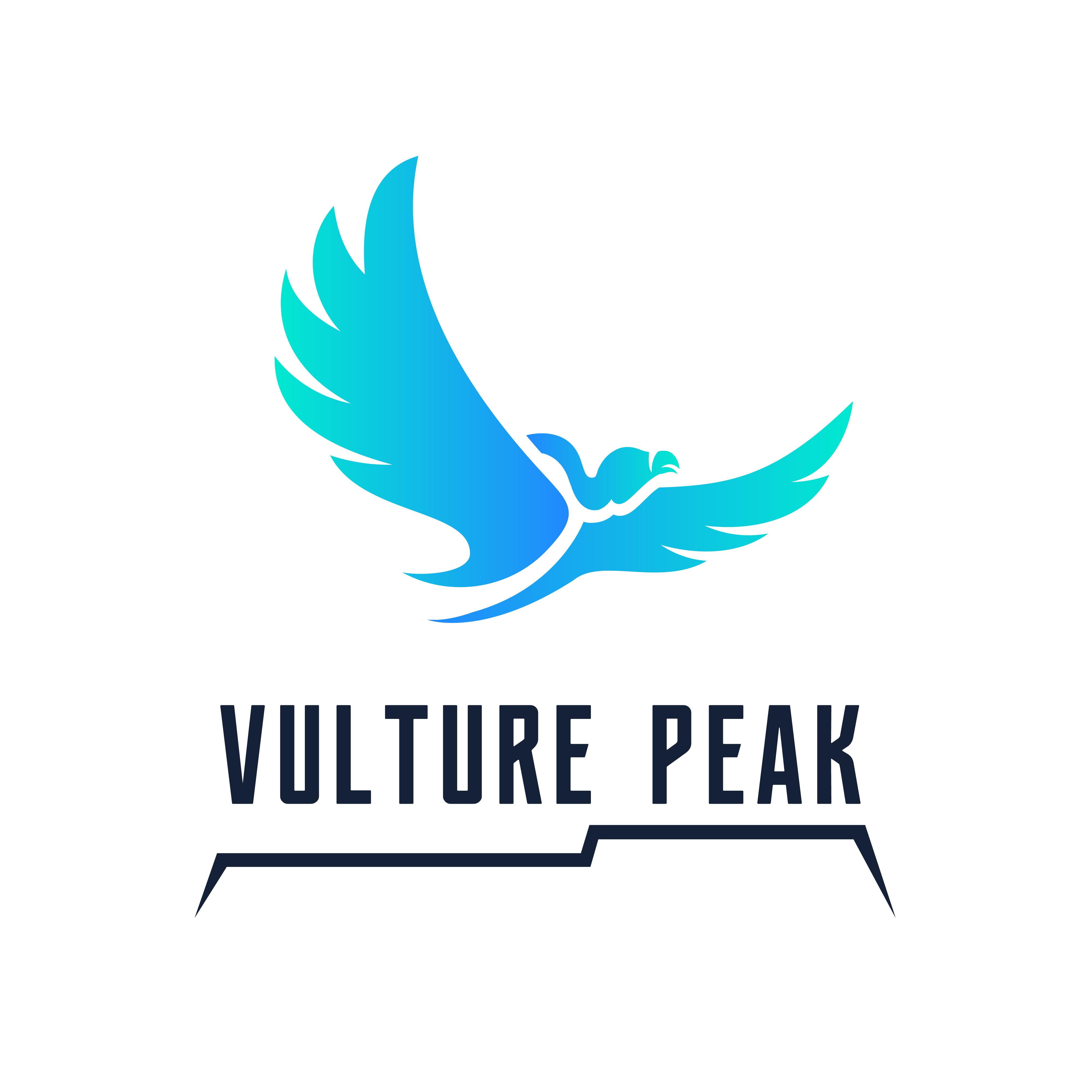 Vulture Peak VPK icon symbol