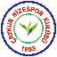 Rizespor Token RIZE icon symbol