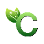 Biểu tượng logo của C Token