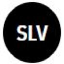 iShares Silver Trust Defichain DSLV icon symbol