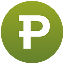 Paribu Net PRB icon symbol