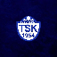 Tuzlaspor Token Symbol Icon