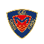 Icel Idman Yurdu Token MIY icon symbol
