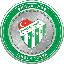 Bursaspor Fan Token Symbol Icon
