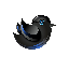 BlueSparrow Token Symbol Icon