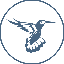 Biểu tượng logo của Kolibri USD