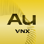 VNX Gold VNXAU icon symbol