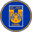 Tigres Fan Token TIGRES icon symbol