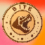BITE BITE icon symbol