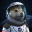 SpaceXDoge SDOGE icon symbol