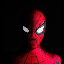 Spider Man Symbol Icon