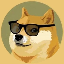 Doge 2.0 Symbol Icon