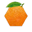Hex Orange Address HOA icon symbol