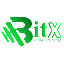 BitX Exchange BITX icon symbol