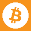 Bitcoin Inu Symbol Icon