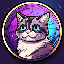 Sillycat SILLYCAT icon symbol