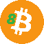 Bitcoin801010101018101010101018101010108 Symbol Icon