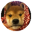 dogwifscarf Symbol Icon
