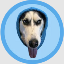 DOGWIFHOOD WIF icon symbol