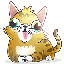 Googly Cat Symbol Icon
