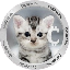 CatCoin Inu CAT icon symbol