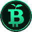 Green Bitcoin GBTC icon symbol