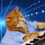 Keyboard Cat Symbol Icon