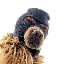 Ski Mask Dog Symbol Icon