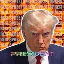Turbo Trump PRESI icon symbol