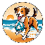 dogwifball WIFB icon symbol