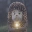 Hedgehog in the fog HIF icon symbol
