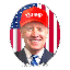TrumpWifBiden Symbol Icon