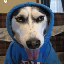 a dog in a hoodie DOGH icon symbol