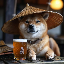 Chinese Doge Wow $CHIDO icon symbol