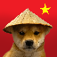 DOG WIF CHINESE HAT Symbol Icon