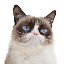 Grumpy Cat (grumpycatspl.com) GRUMPY icon symbol