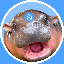 sudeng HIPPO icon symbol