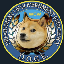 Department of Gov Efficiency (deptofgovtefficiency.com) DOGE icon symbol