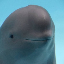 Miharu The Smiling Dolphin $MIHARU icon symbol