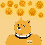 XRP DOGE