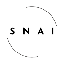 SwarmNode.ai SNAI icon symbol