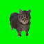 spinning cat OIIAOIIA icon symbol