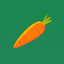 Carrot Symbol Icon